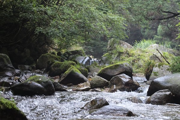 厳木川